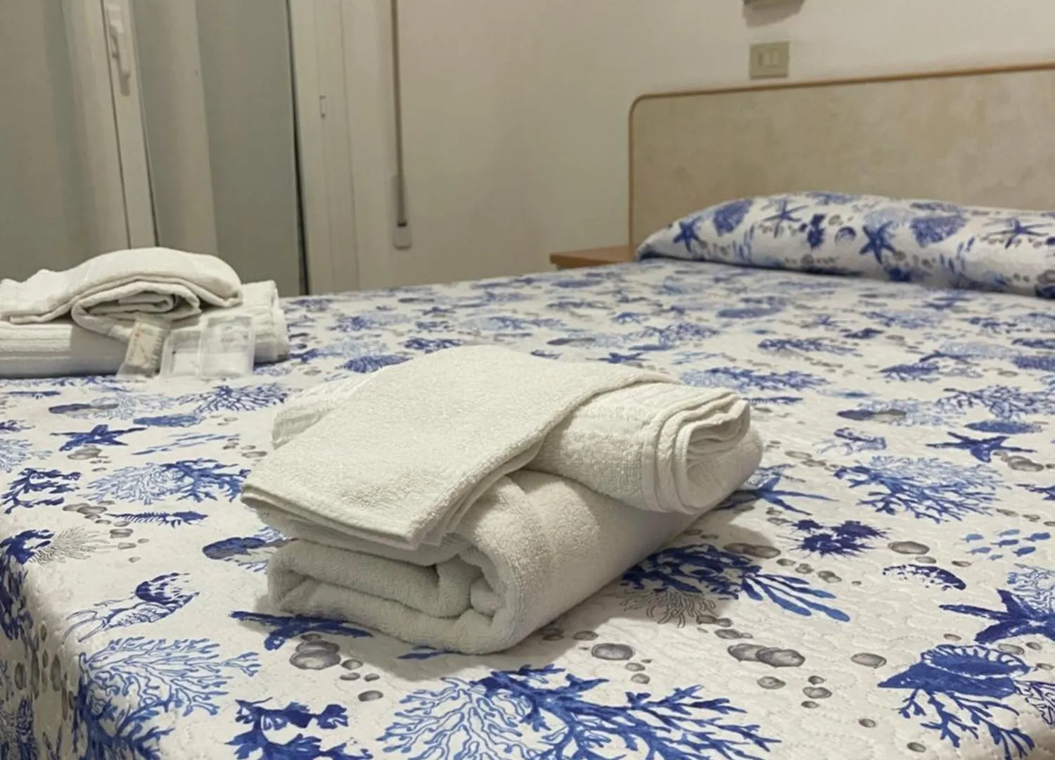 Hotel Vienna Rivazzurra Rimini 3*,